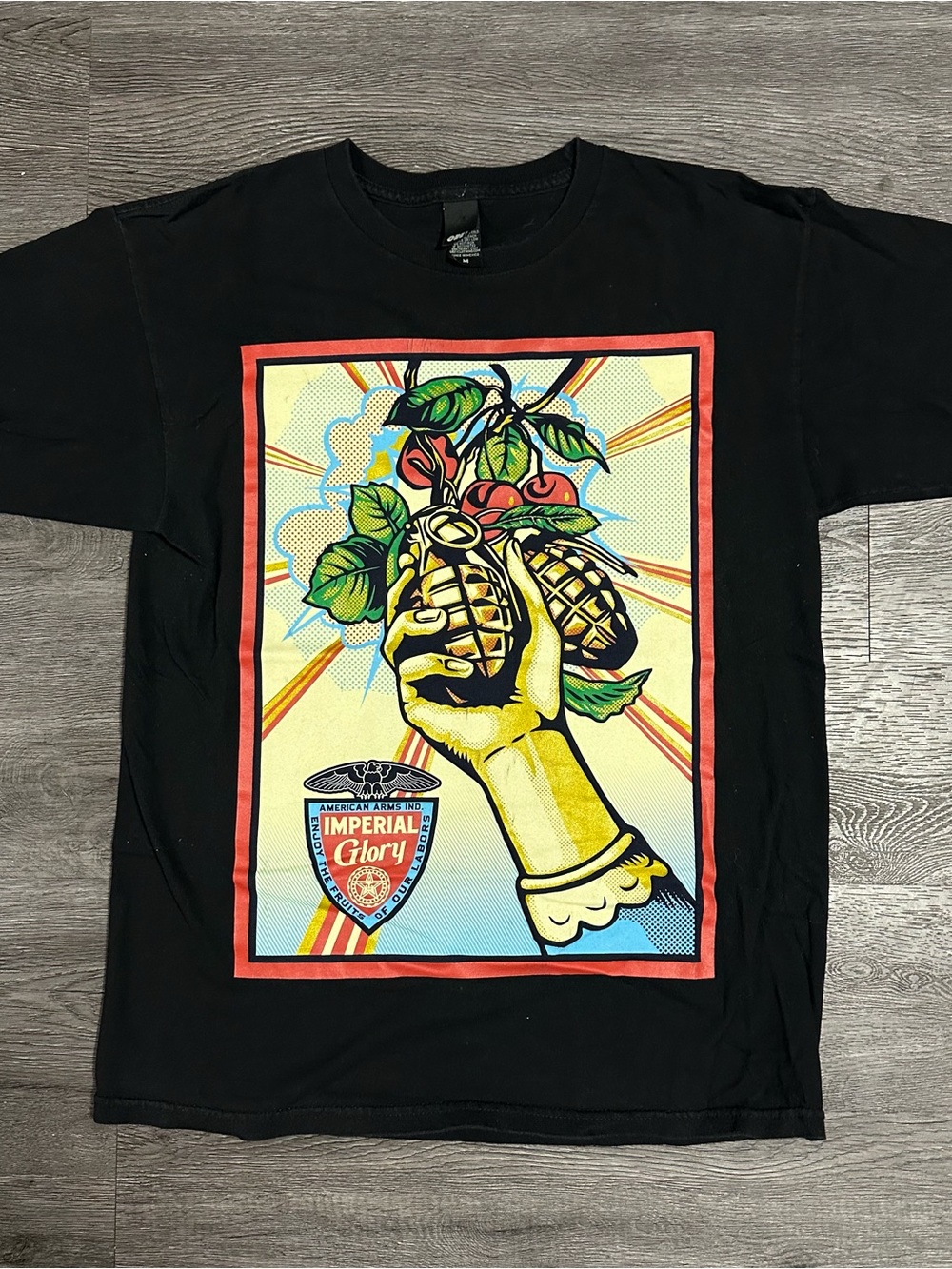 Y2K - Obey imperial glory graphic T-shirt ￼